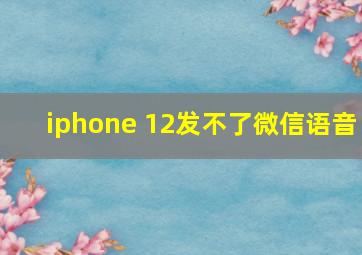 iphone 12发不了微信语音